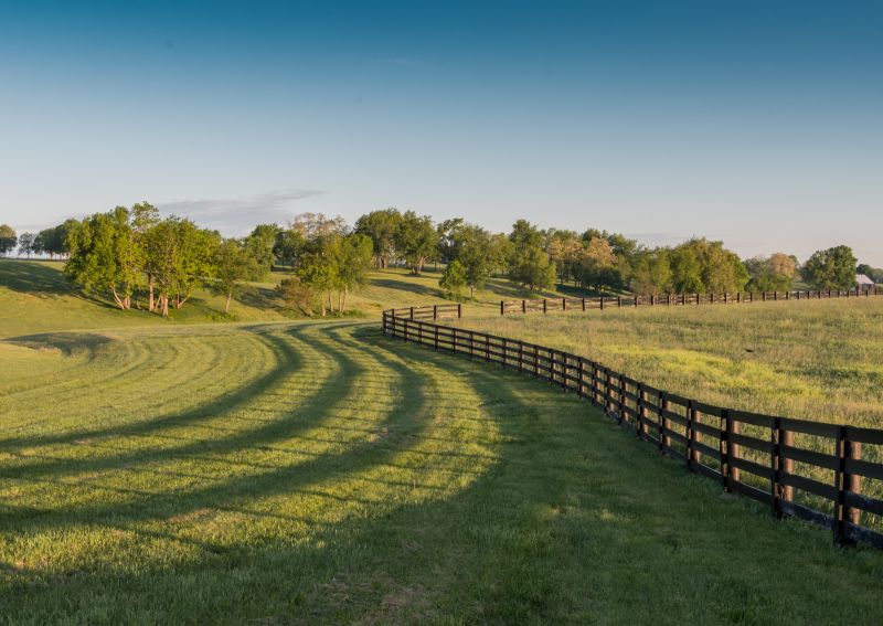 Equine Fence Installation