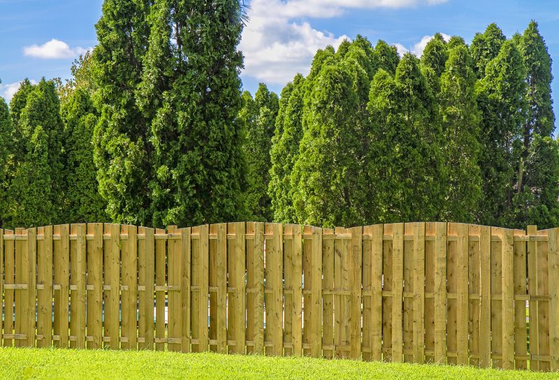 New Wood Privacy Fence